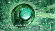 Nom du fichier : 6mai-04.jpg
Poids du fichier : 494Ko
Dimensions : 1600x900
Ajouté le : Dimanche 08 Mai 2011 6mai-04.jpg